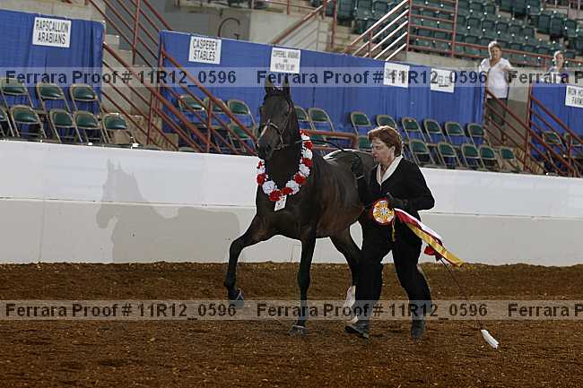 Proof Number 11r12_0596