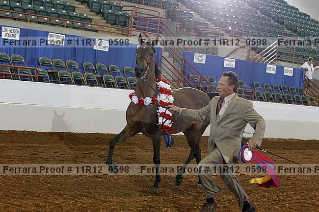 Proof Number 11r12_0598