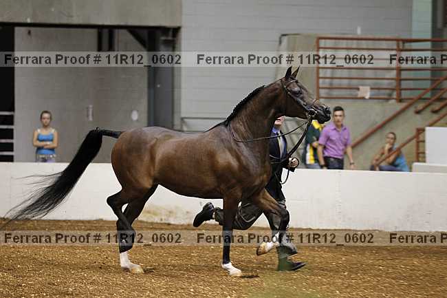 Proof Number 11r12_0602