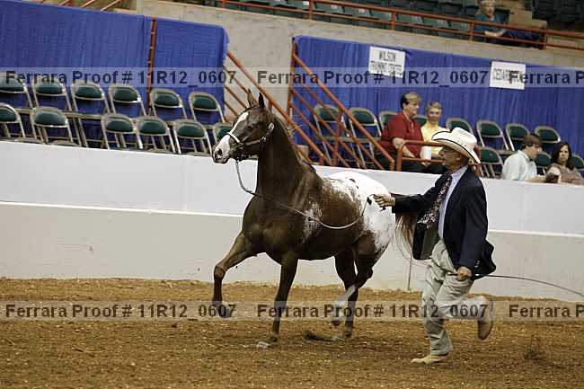 Proof Number 11r12_0607