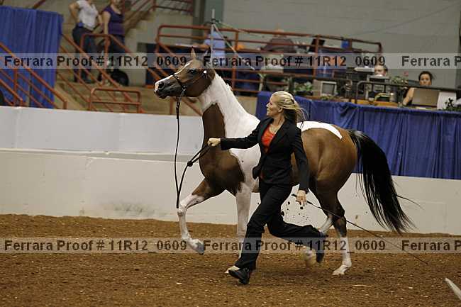 Proof Number 11r12_0609