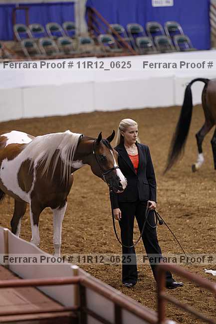 Proof Number 11r12_0625