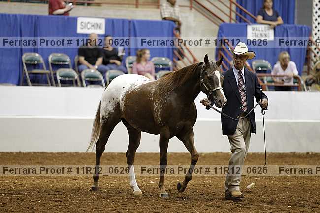 Proof Number 11r12_0626