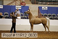11r12_0630 thumbnail