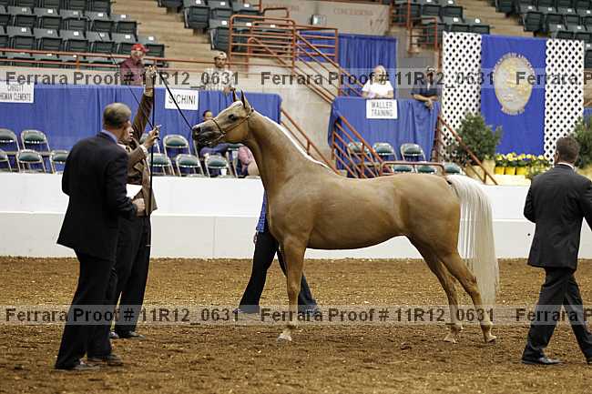 Proof Number 11r12_0631