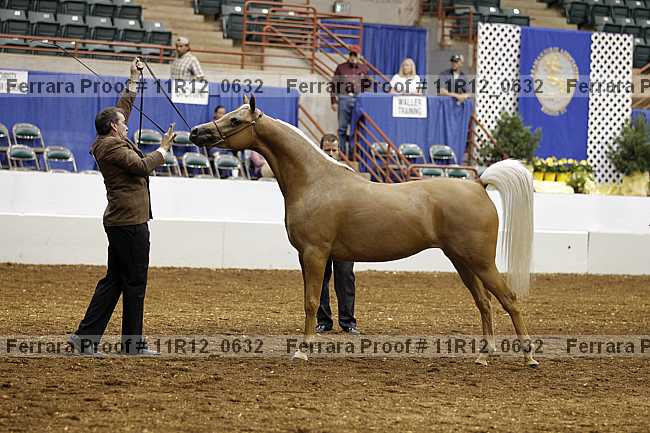 Proof Number 11r12_0632