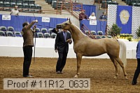 11r12_0633 thumbnail