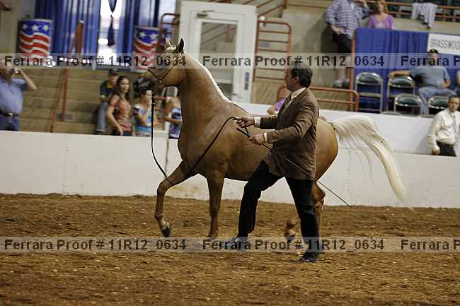 Proof Number 11r12_0634
