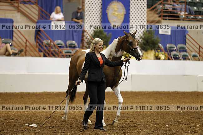 Proof Number 11r12_0635