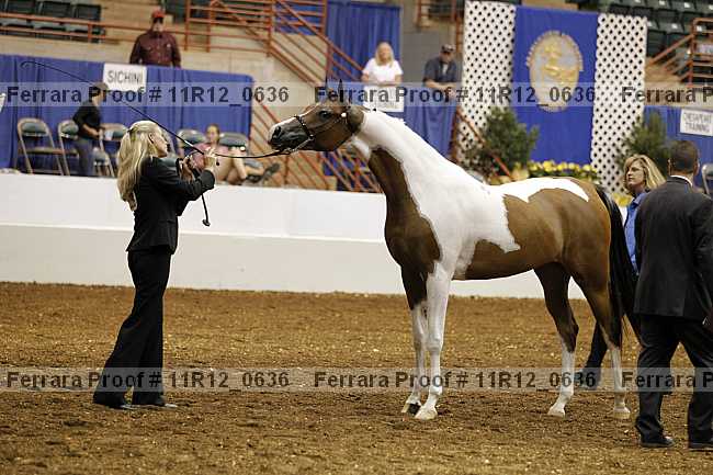 Proof Number 11r12_0636