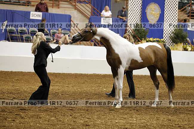 Proof Number 11r12_0637