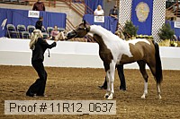 11r12_0637 thumbnail