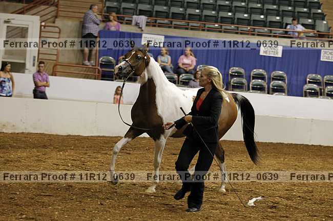 Proof Number 11r12_0639