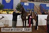 11r12_0648 thumbnail