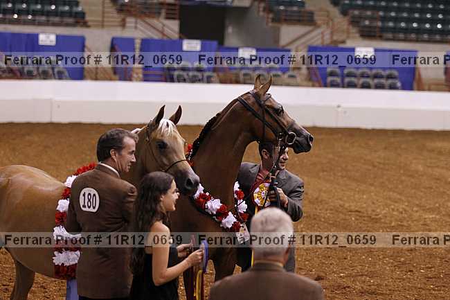 Proof Number 11r12_0659