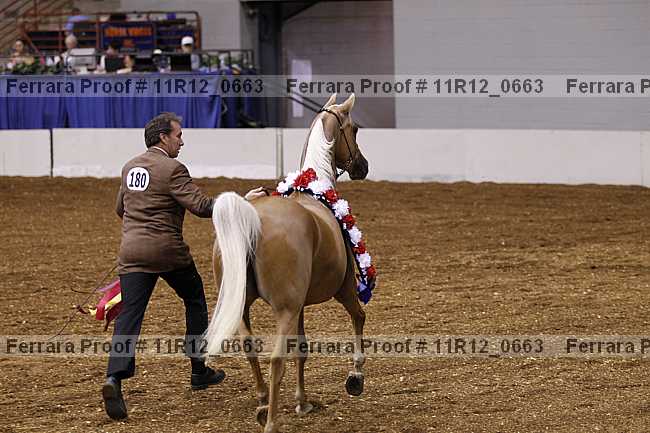 Proof Number 11r12_0663