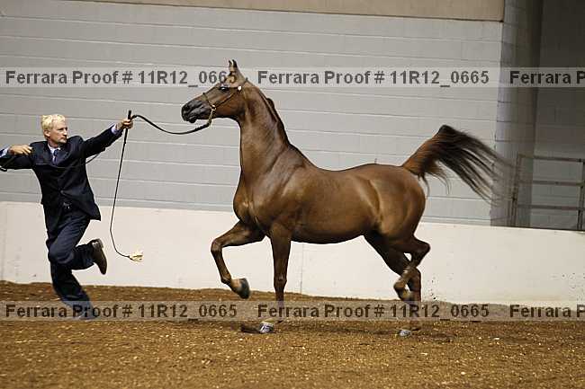 Proof Number 11r12_0665