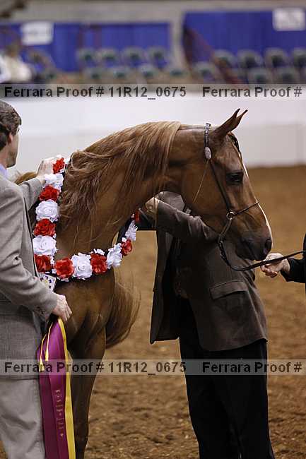 Proof Number 11r12_0675