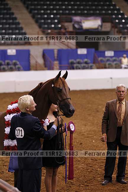 Proof Number 11r12_0683
