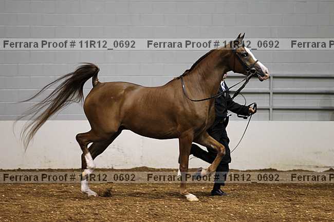 Proof Number 11r12_0692