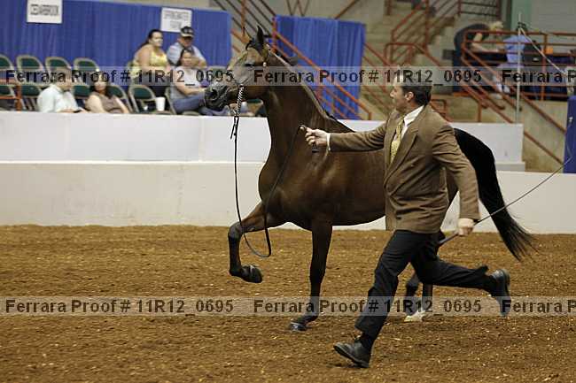 Proof Number 11r12_0695