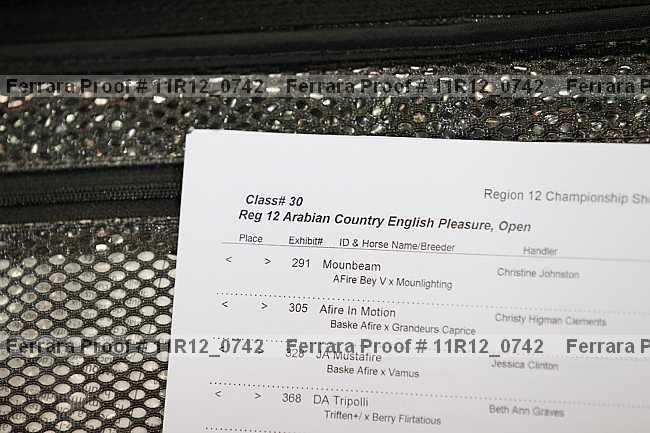 Proof Number 11r12_0742