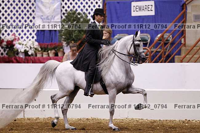 Proof Number 11r12_0794
