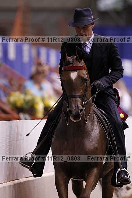 Proof Number 11r12_0808