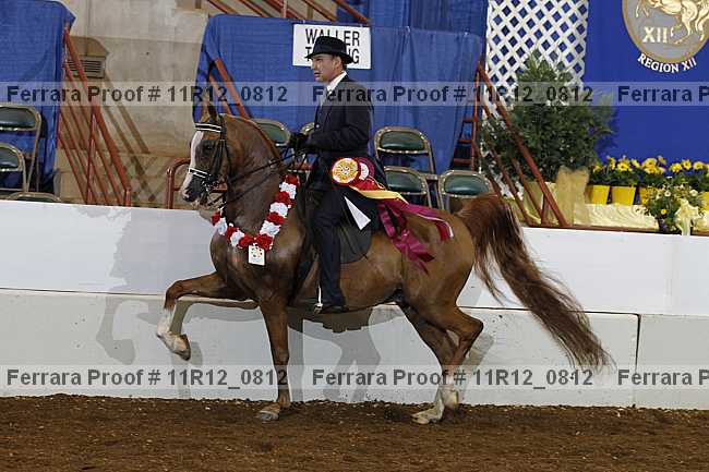 Proof Number 11r12_0812