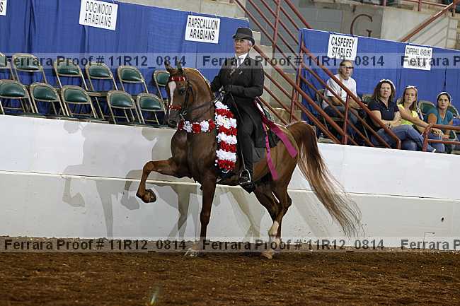 Proof Number 11r12_0814