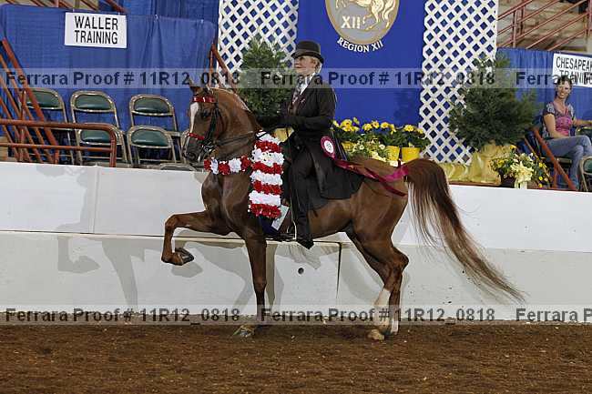 Proof Number 11r12_0818