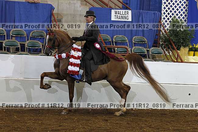 Proof Number 11r12_0819