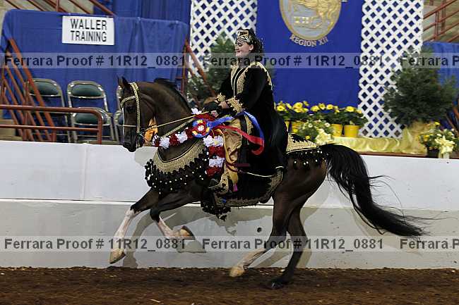 Proof Number 11r12_0881