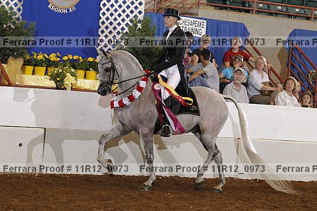Proof Number 11r12_0973