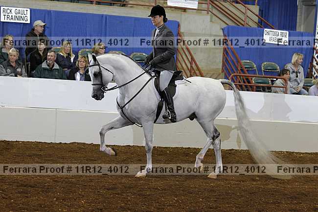 Proof Number 11r12_4012