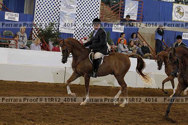 Proof Number 11r12_4014