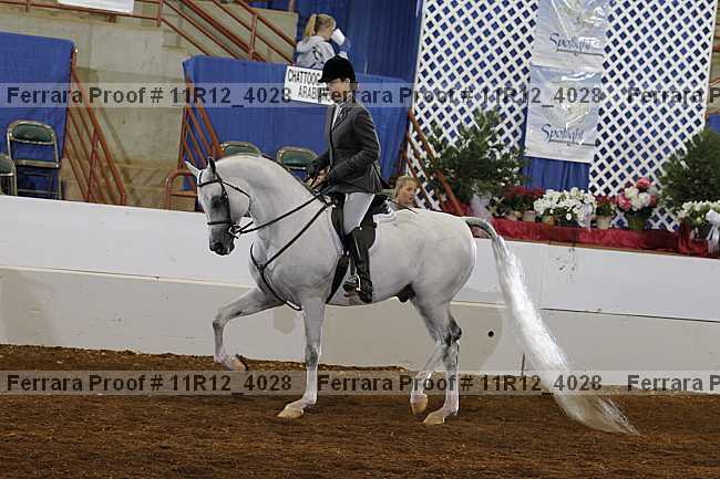Proof Number 11r12_4028