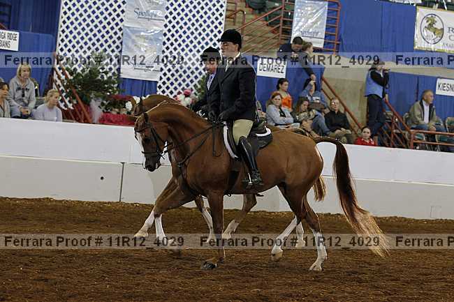 Proof Number 11r12_4029