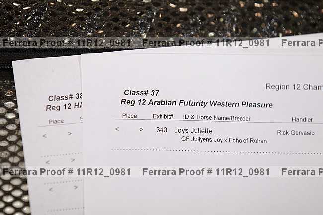 Proof Number 11r12_0981