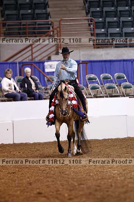 Proof Number 11r12_1108