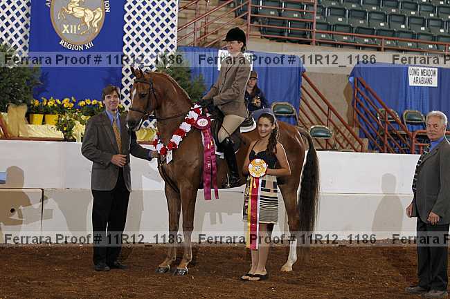 Proof Number 11r12_1186