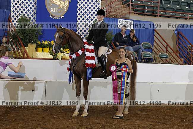 Proof Number 11r12_1196