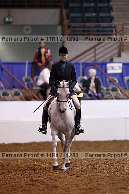 Proof Number 11r12_1253