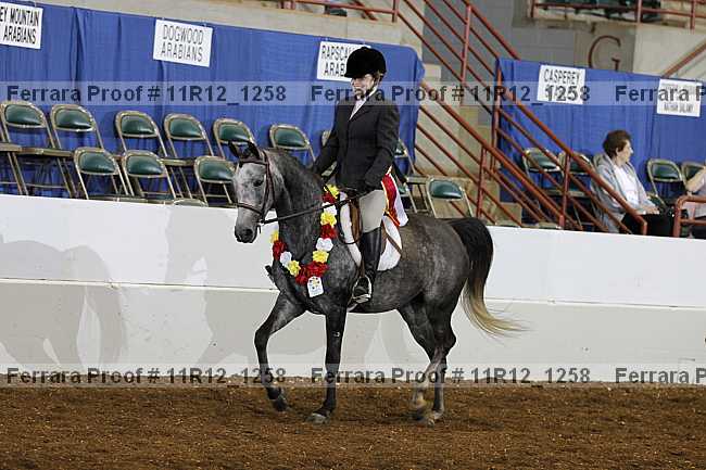 Proof Number 11r12_1258