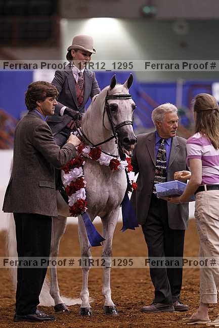 Proof Number 11r12_1295