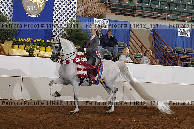 Proof Number 11r12_1311