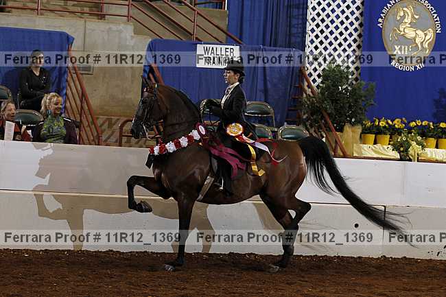 Proof Number 11r12_1369