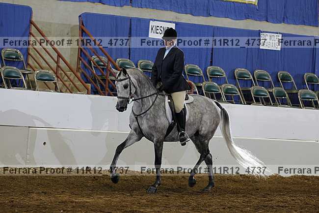Proof Number 11r12_4737
