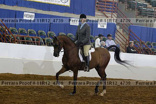 Proof Number 11r12_4739