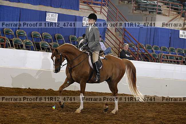 Proof Number 11r12_4741